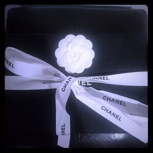 Chanel Clutch Classic with Chain